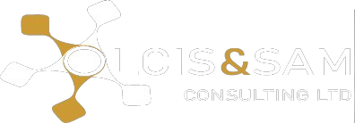 Lois&Sam Consulting Ltd